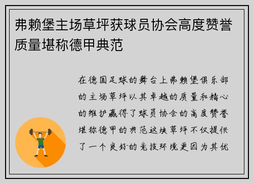 弗赖堡主场草坪获球员协会高度赞誉质量堪称德甲典范 弗赖堡主场草坪获球员协会高度赞誉质量堪称德甲典范